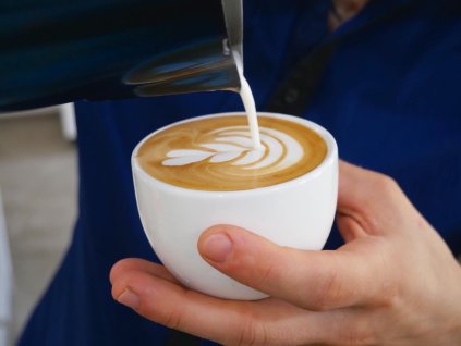 Individuální kurzy