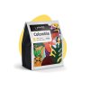 web kava colombia 150