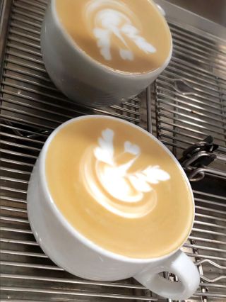 Začít uměním v šálku není těžké, stačí přijít a nechat se vést ☕ Na našem kurzu tě naučíme, jak z obyčejného cappuccina...