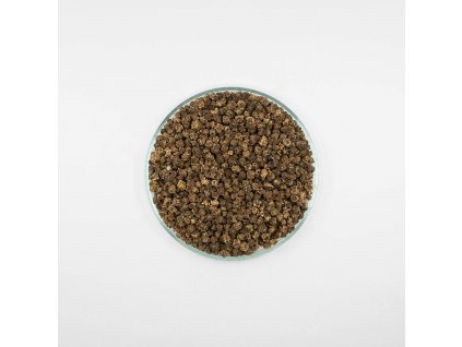 beet seed microgreen[1]