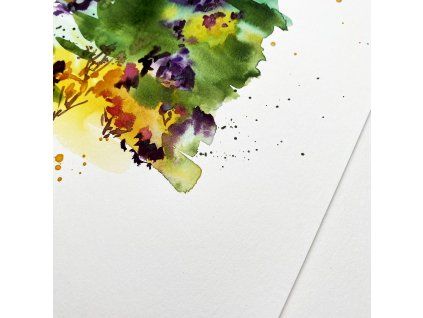 Arch akvarelový papír