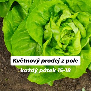 🥬 Vážení zákazníci, zveme Vás na jarní prodeje z pole, které budou v květnu probíhat každý pátek od 15 do 18 hodin u nás...