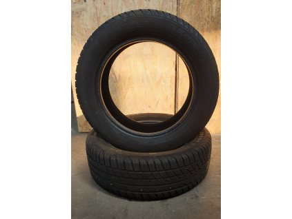 Platin RP 410 Diamant 195/55 R15 85V  Sada 2 ks pneu letní