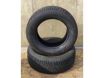 Nokia 225/60 R16 102V XL