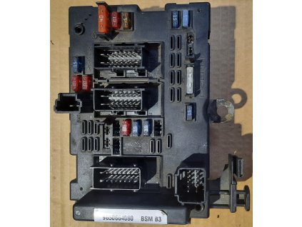 BSM B3 9650664080 Peugeot Citroen Delphi