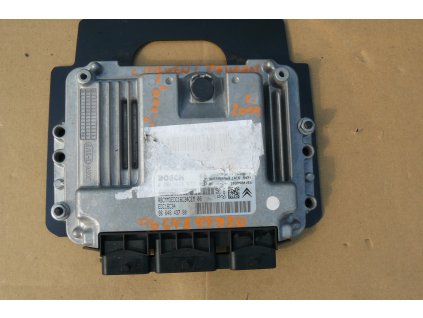 P1030105