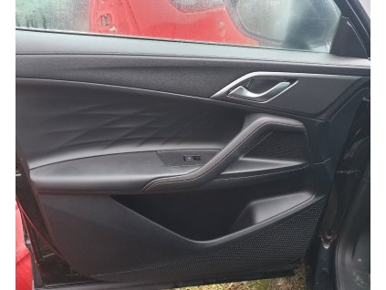 Dveře přední levý vnitřní panel dveří 12124559-PHD interiér