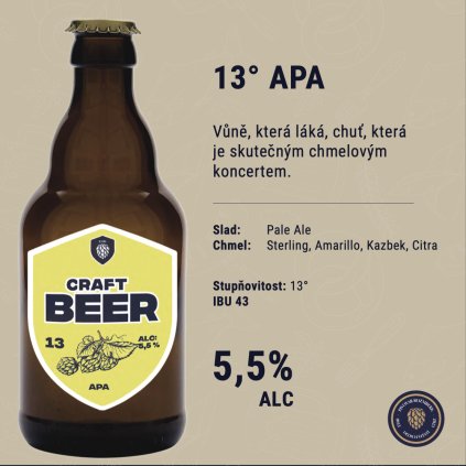APA13
