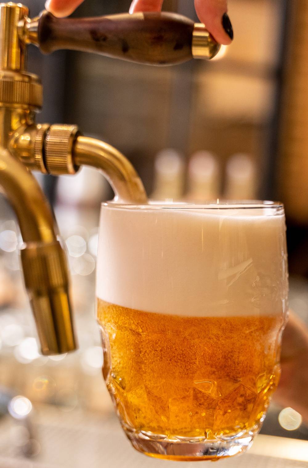 Načepované svijanské pivo s hustou pěnou v čisté pivní sklenici