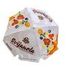 Svijanela