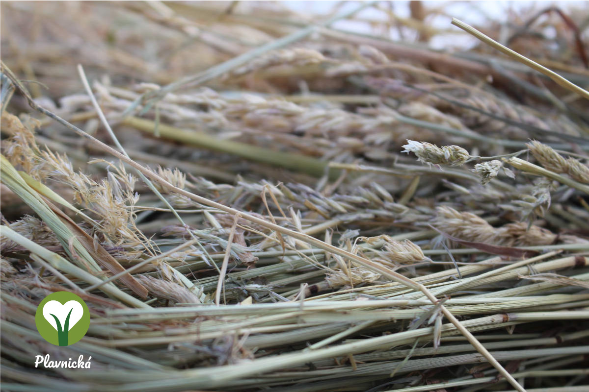 Odkud se bere kvalitní seno