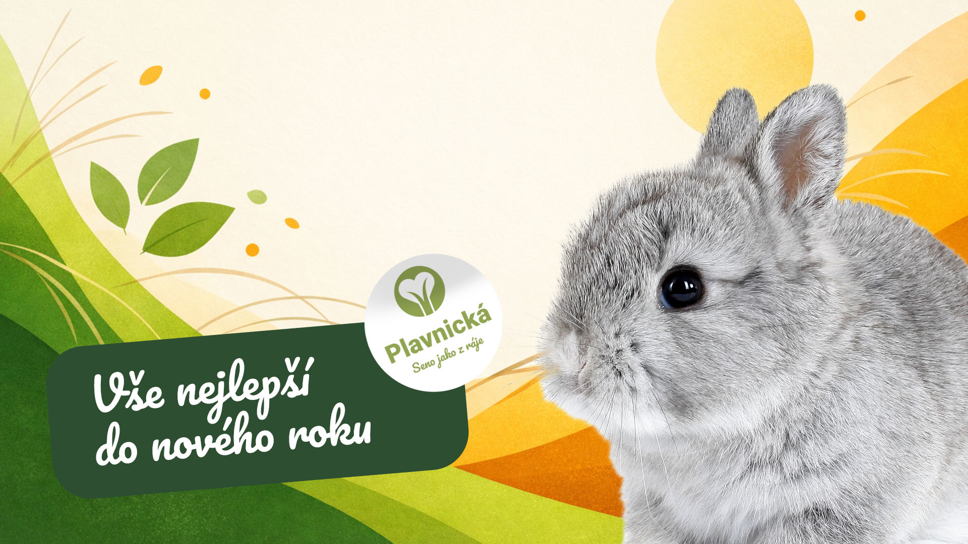 Přejeme vám vše nejlepší do nového roku