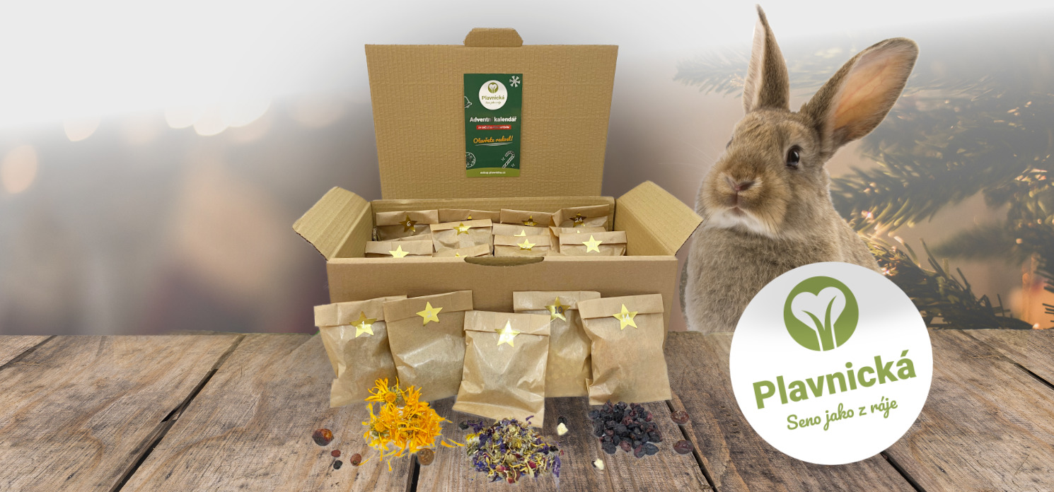 Adventní kalendář