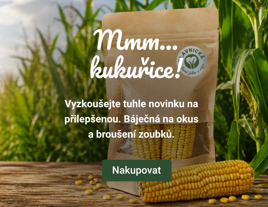Mmm... kukuřice!
