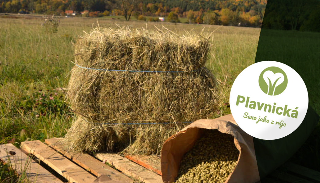 Tenhle vesnický balík je hvězda