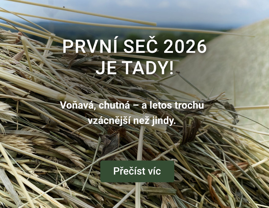 První seč 2026 - mobilní