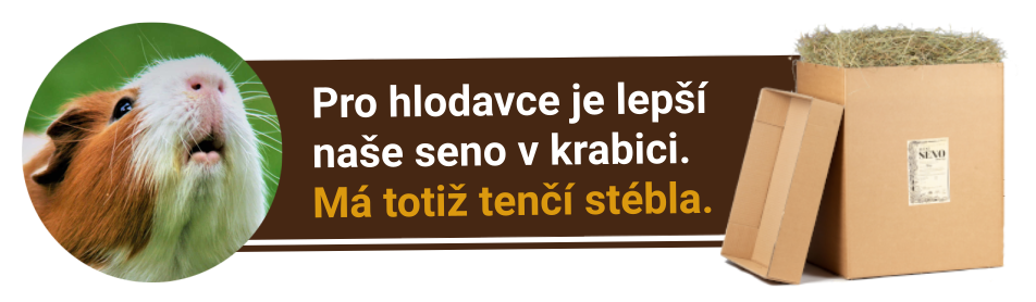 seno-v-krabici-pro-hlodavce