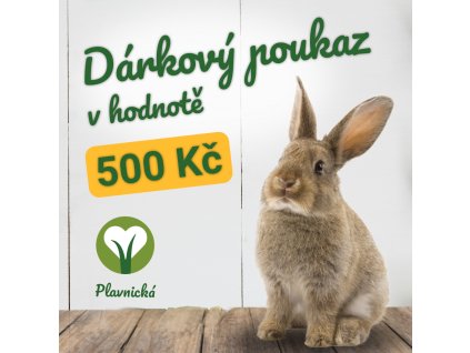 Dárkový poukaz Plavnická 500 Kč