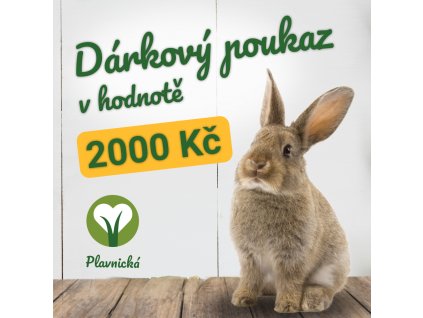 Dárkový poukaz Plavnická 2000 Kč