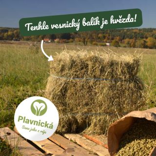 BIO seno Plavnická v balení 10 kg je stále jeden z nejoblíbenějších typů balení 💚 Je vhodný jak pro menší zvířata jako...
