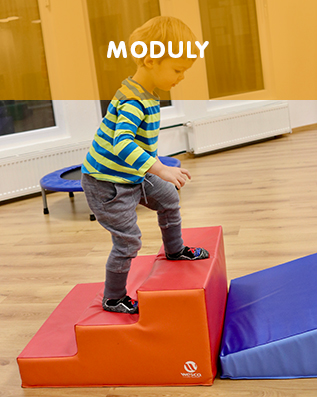 Moduly