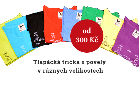 Trička
