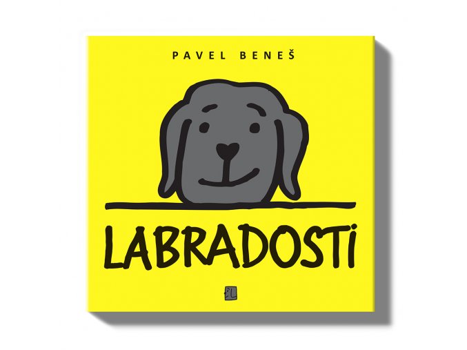 Labradosti vizualizace