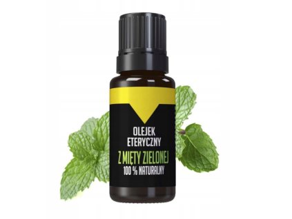zelená máta