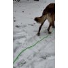 Tracking leash - Round Biothane