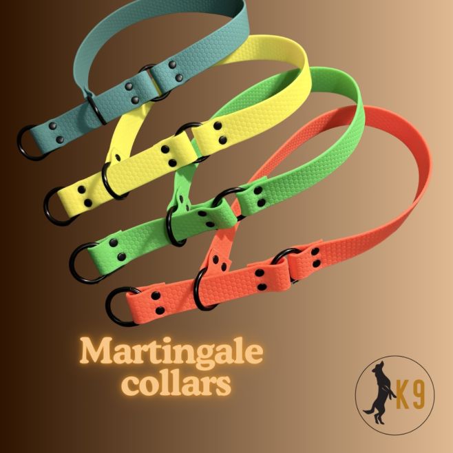 New Hexa colours 🔥 Order your custom set in your colour 😎 #dogstyle #dogtrainer #dogsofinstagram