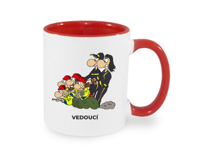 VEDOUCI