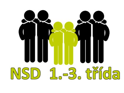 NSD 1 3