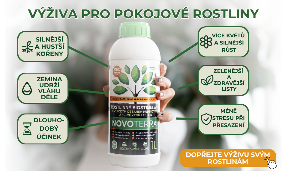 Novoterra výživa pro pokojové rostliny