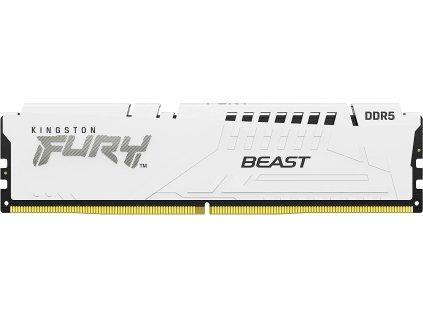 Kingston FURY Beast/DDR5/64GB/6000MHz/CL40/4x16GB/White