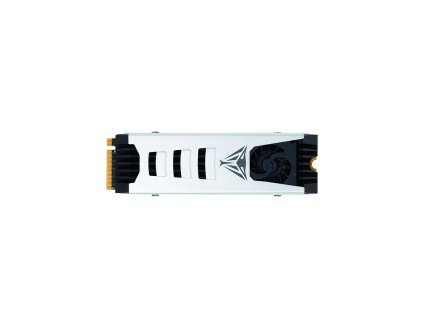 PATRIOT VIPER PV553/4TB/SSD/M.2 NVMe/Stříbrná/Heatsink/5R