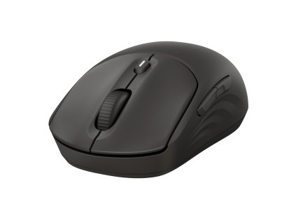 HP 405 Quiet Black Wireless Mouse EURO