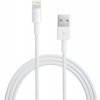 Lightning to USB Cable (2 m) / SK
