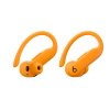 eComm 498 PowerbeatsPro2 ZEST RGB Angle02 v039