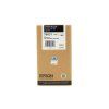 C13T603100 s