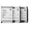 Synology HAS5300/12TB/HDD/3.5''/SAS/7200 RPM/5R