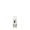 Sklenice na likér Barline Forest 50 ml, 6 ks 1