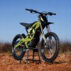 Sur-Ron Light Bee Green