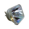 Lampa pro projektor KINDERMANN 3000000839 Lampa Philips