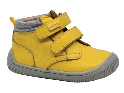 TENDOYELLOW_A.jpg