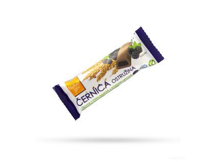 Obrázek