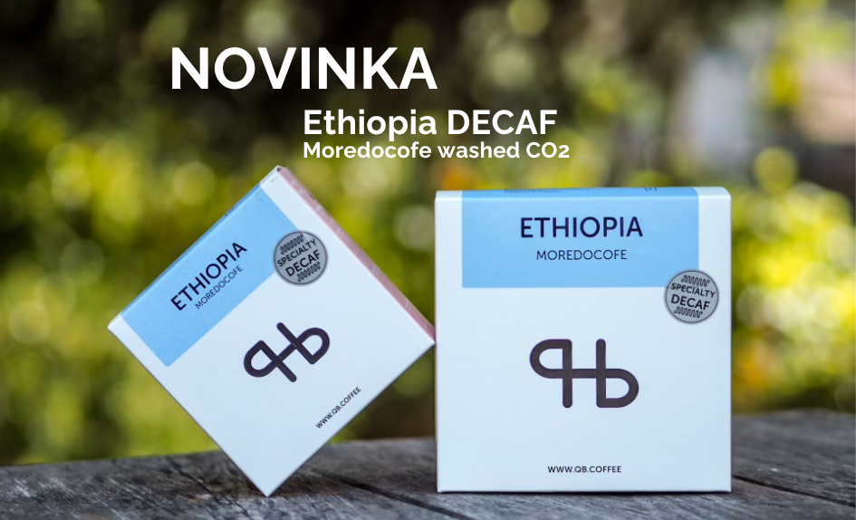Novinka Ethiopia DECAF
