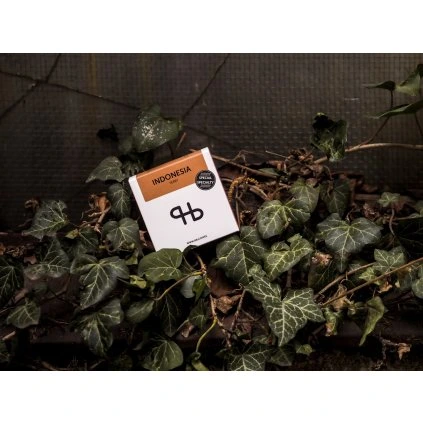 Indonesia Terry anaeronic natural