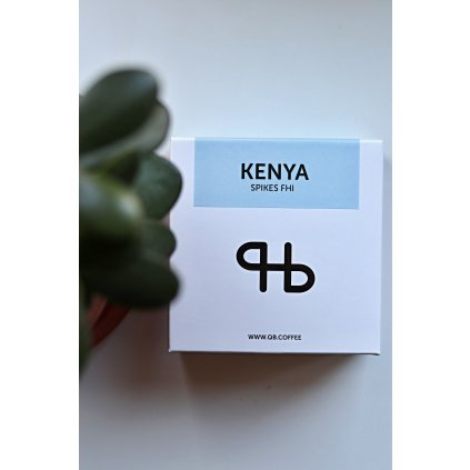 Kenya Spikes FHI washed