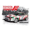 Obraz Celica