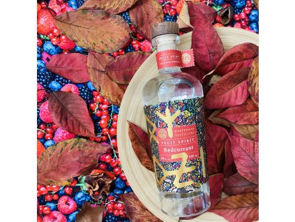 Redcurrant (červenorybízovice), 48%, 0,5 l